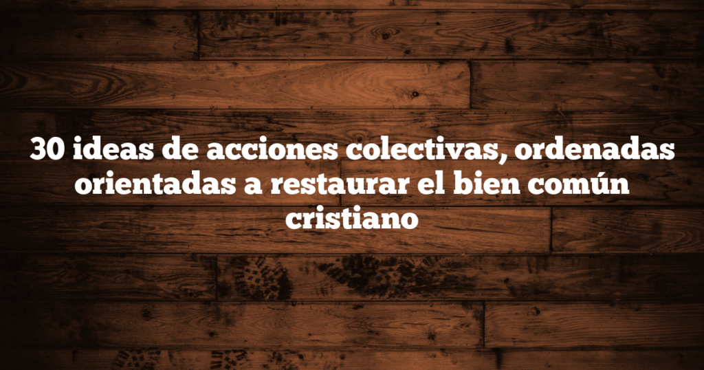 30 ideas de acciones colectivas, ordenadas orientadas a restaurar el bien común cristiano