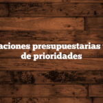 15.1 Limitaciones presupuestarias y elección de prioridades