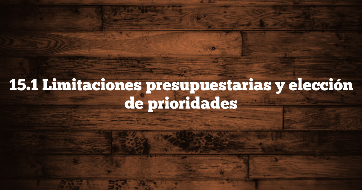 15.1 Limitaciones presupuestarias y elección de prioridades