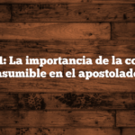 Artículo 1: La importancia de la constancia asumible en el apostolado