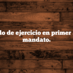 Ejemplo de ejercicio en primer año de mandato.