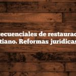 Pasos secuenciales de restauración del orden cristiano.  Reformas jurídicas posibles.