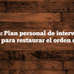 Propuesta: Plan personal de intervención en medios para restaurar el orden católico