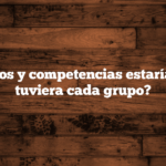 ¿Qué cargos y competencias estaría bien que tuviera cada grupo?