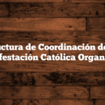 Estructura de Coordinación de una Manifestación Católica Organizada