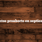 Eventos proaborto en septiembre