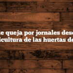 Modelos de queja por jornales desordenados en la agricultura de las huertas de España.