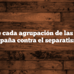 Que dice cada agrupación de las que hay hoy en España contra el separatismo vasco.