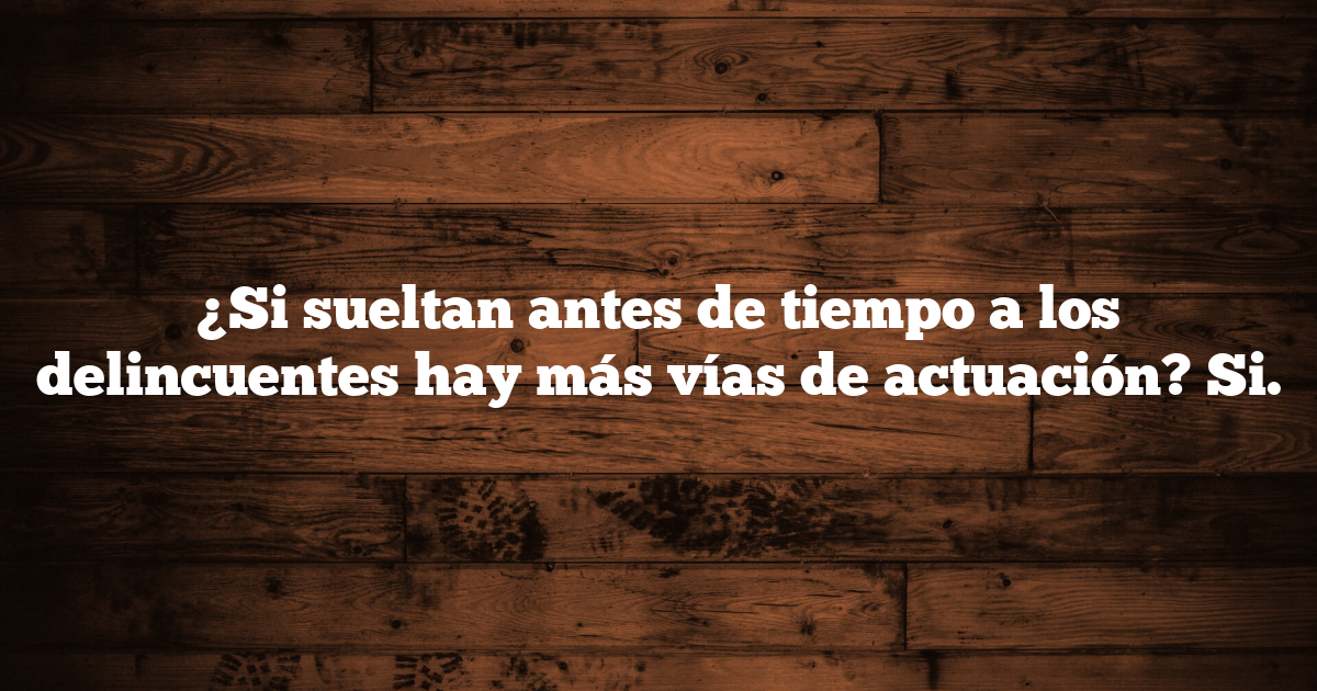 ¿Si sueltan antes de tiempo a los delincuentes hay más vías de actuación? Si.