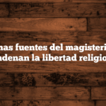 Algunas fuentes del magisterio que condenan la libertad religiosa.