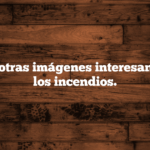 Algunas otras imágenes interesantes sobre los incendios.