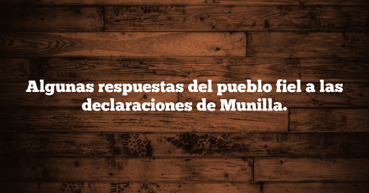 Algunas respuestas del pueblo fiel a las declaraciones de Munilla.