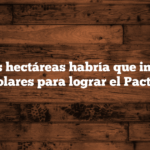 ¿Cuántas hectáreas habría que instalar de placas solares para lograr el Pacto Verde?
