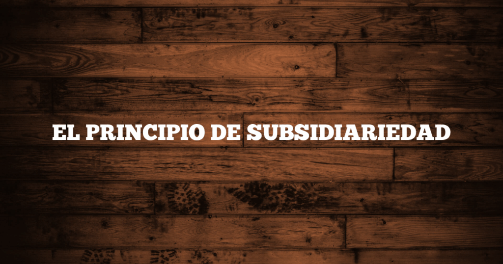 EL PRINCIPIO DE SUBSIDIARIEDAD