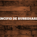EL PRINCIPIO DE SUBSIDIARIEDAD