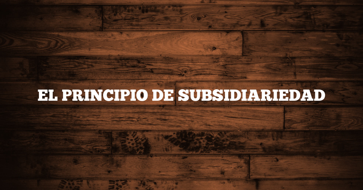 EL PRINCIPIO DE SUBSIDIARIEDAD