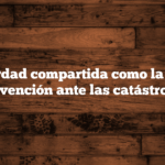 La verdad compartida como la mejor prevención ante las catástrofes