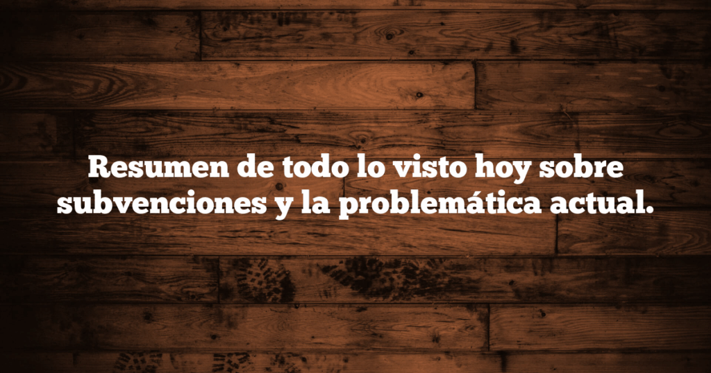 Resumen de todo lo visto hoy sobre subvenciones y la problemática actual.